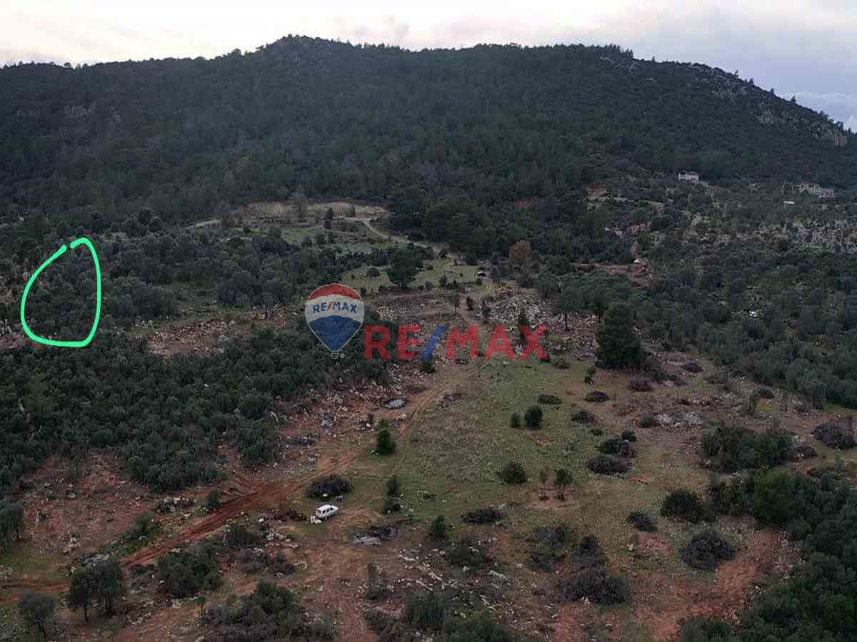 RE/MAX PUPA'DAN KALKAN YEŞİLKÖY'DE SATILIK ARAZİ - Görsel 1