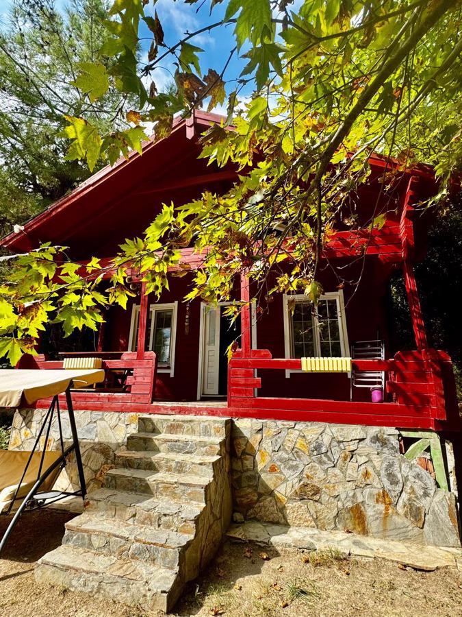 RE/MAX PUPA'DAN İSLAMLARDA DOĞA İÇİNDE SATILIK HAVUZLU 4 ADET AHŞAP EV - Görsel 22