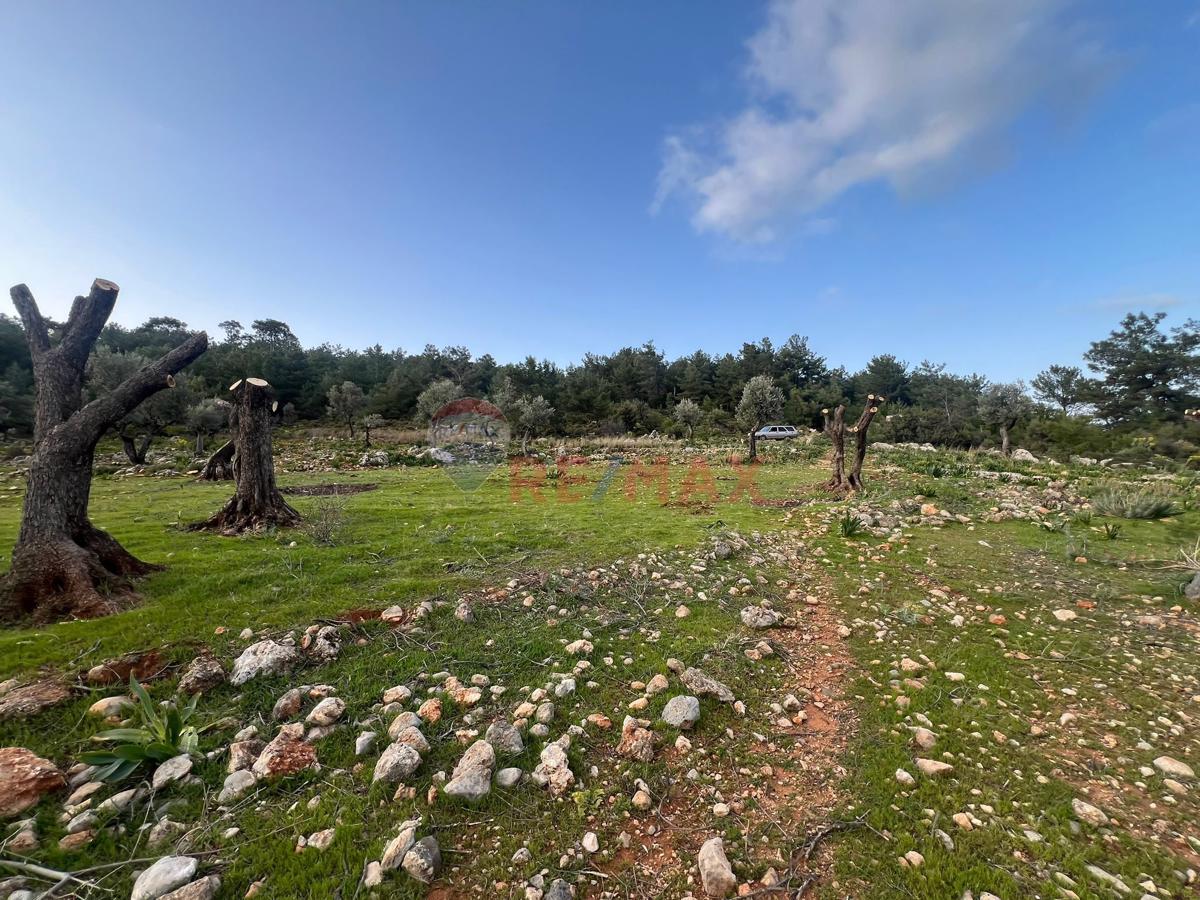 RE/MAX MUĞLA SEYDİKEMER YAKABAĞ'DA SATILIK TARLA - Küçük Görsel 4