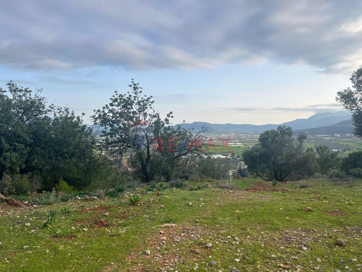 RE/MAX MUĞLA SEYDİKEMER YAKABAĞ'DA SATILIK TARLA - Küçük Görsel 2